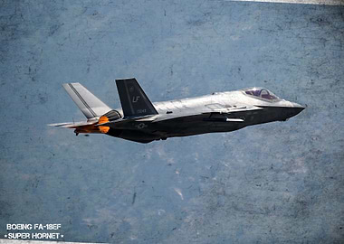 F/A-18E/F Super Hornet Jet