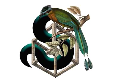 Bird and an Impossible Cube