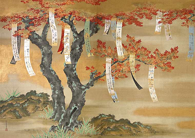 Japanese Maple Tree with Wishes