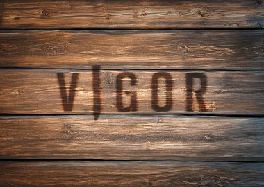 Vigor Logo on Wood