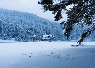Snowy Cabin by the Lake