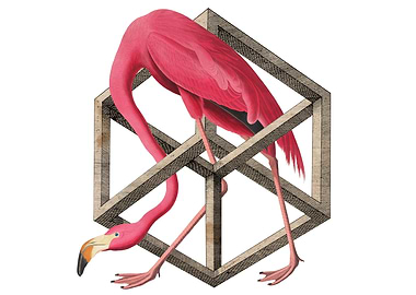 Pink Flamingo in an Impossible Cube