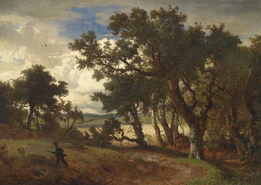 Forest Path Landscape
