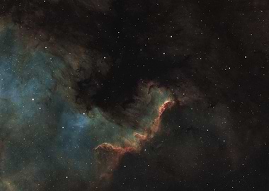 Cygnus Wall