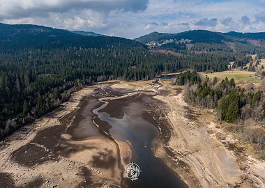 Dried-Up Lake in Forest