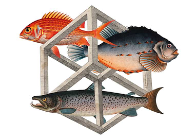 Fish in a Cube Impossible