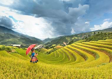 Woman in Rice Terraces