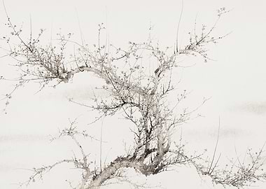 Ink Wash Painting of a Tree