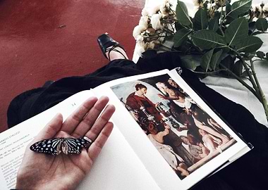 Butterfly on Open Book