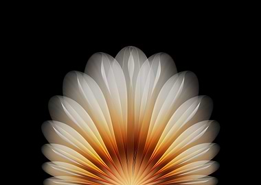 Abstract Flower Petal Design