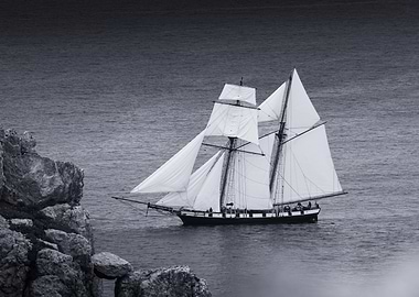 Sailing Ship at Sea