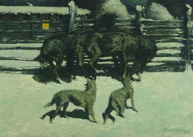 Wolves and Horses in Snow