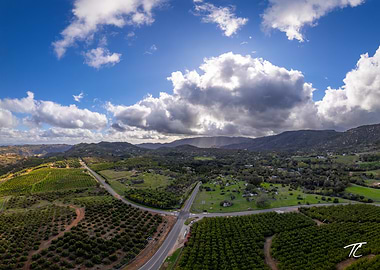 Santa Rosa - Orchard