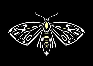 Moth Illustration