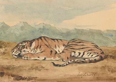Sleeping Tiger Watercolor
