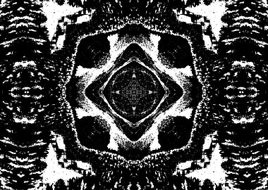Black and White Abstract Pattern