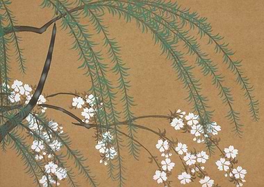 Willow Branch with Blossoms