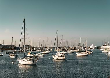 Reflections in the Marina