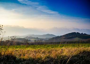 Rolling Hills Landscape
