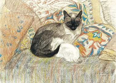 Sleeping Siamese Cat, théophile steinlen paintings