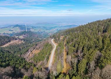 Winding Road Through Forest