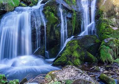 Waterfall in Lush Forest