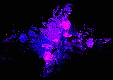 Abstract Neon Splatter