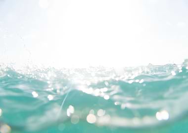 Dreaming in the Caribbean Sea 1