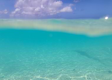 Underwater Caribbean Sea Dream 1