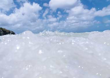 Dive into the Caribbean Sea 1