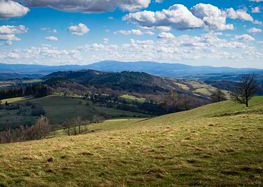 Rolling Hills Landscape