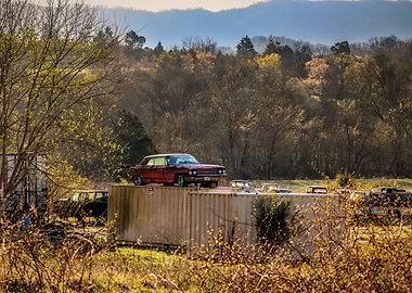 King of the Wasteland