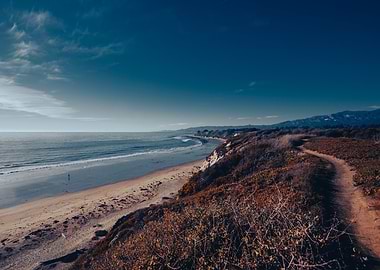 Butterfly Grove Beach