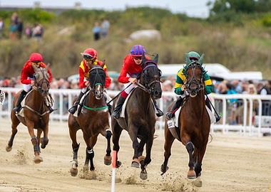 Horse Racing Competition
