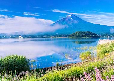 Mount Fuji Landscape