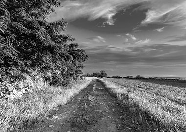 Countryside Path