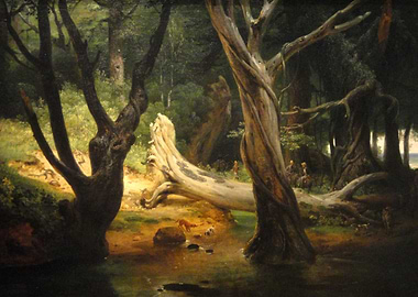 Forest Scene with Fallen Tree