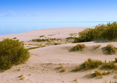 Sandy Dunes by the Sea