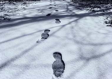 Footprints in Snow