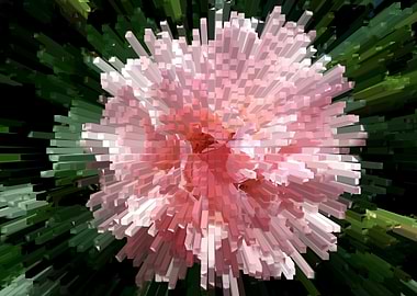 Pink Flower Abstract