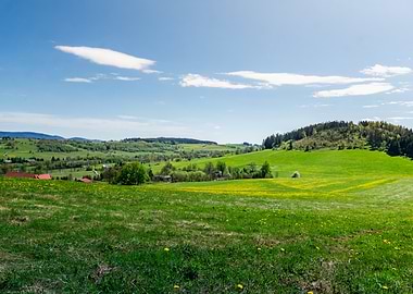 Rolling Green Hills Landscape