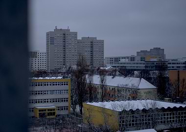 Snowy & Grey Lichtenberg