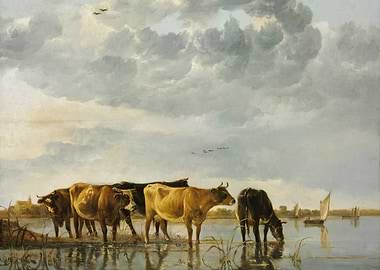 Cows by the River