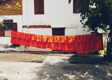 Orange Robes Drying