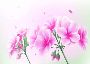 Pink Flowers on White Background