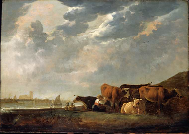 Cows by a River