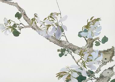 Delicate Branch with White Flowers