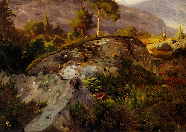 Rocky Mountain Landscape