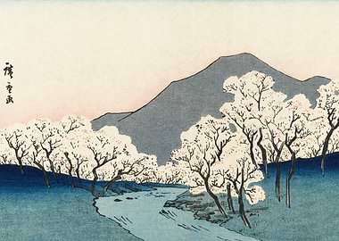 Cherry Blossoms by a River