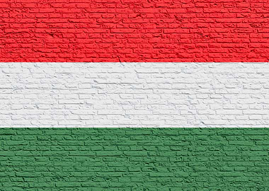 Hungarian Flag Brick Wall - Hungary